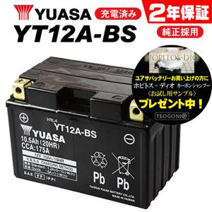 2年保証付 ユアサバッテリー スカイウェイブ250/BA-CJ43A用 バッテリー YT12A-BS...