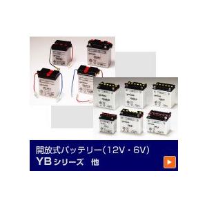 GSユアサ 6Vバッテリー 6YB8L-B