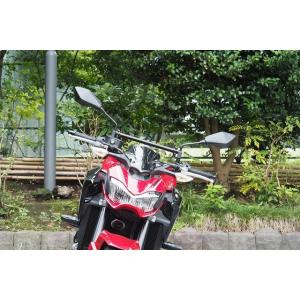 DAYTONA（デイトナ） 送料無料 スクリーン ナショナルサイクル製