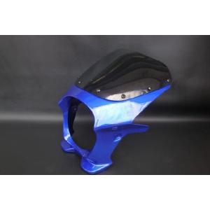 ビキニカウル　CB1100　パールセイレンブルー　ワールドウォーク　汎用品 bike-world-walk_ds-01r-3