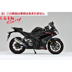 REALIZE（リアライズ） Realize MT-25 MT-03 バイクマフラー JBK-RG10J