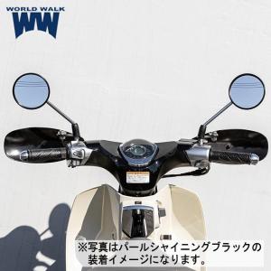 スペシャルパーツ武川 タケガワ 09-11-0089 メーターバイザーキット
