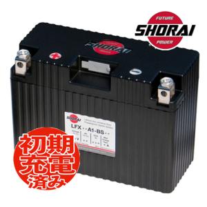 SHORAI/ショーライ 4897034420074 LFX14A1-BS12 超小型 超軽量 高耐久性 高出力 バイク用 メーカー保証3年付き メンテナンスフリー リチウムバッテリー｜horidashi