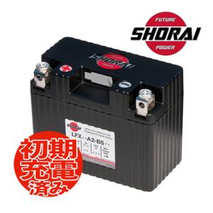 正規代理店 LFX09A2-BS12 SHORAI(ショーライ) リチウム フェライト