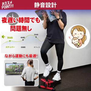 ランキング入賞 送料無料 ステッパー ツイスト...の詳細画像4