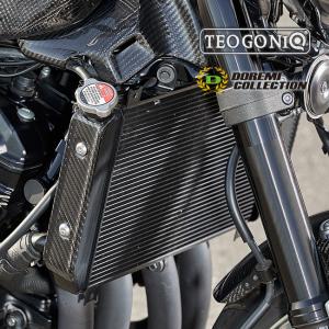 A-TECH（エーテック） A-TECH K100555 Z900RS サイドカバー 左右セット