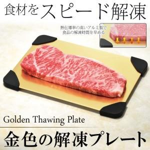 スピード解凍プレート 23cm  食材を乗せるだけ  解凍時間を大幅に短縮！アルミ製 熱伝導 肉・魚の美味しさキープ 自然解凍 時短調理 安 金色の解凍プレート｜horidashiichiba