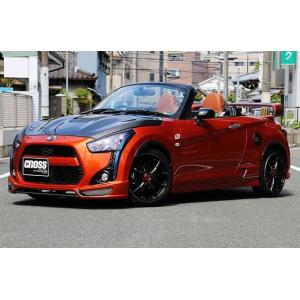 テイクオフ アルトワークス HA21S HA11S HB21S HB11S カーボン