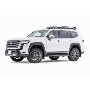 JAOS（ジャオス） JAOS BATTLEZ ローダウンスプリング Ti-W ガソリン車 