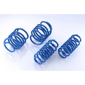 Spoon スプーン　プログレッシブスプリング　シビック　タイプR FL5用 SPOON スプーン プログレッシブスプリング シビック タイプR 6BA-FL5