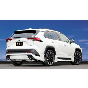 ブリッツ RAV4 AXAH54 マフラー チタンカラー 63185V BLITZ NUR-SPEC 
