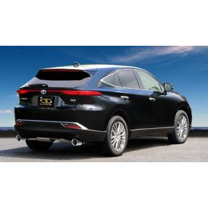 BLITZ（ブリッツ） マフラー ニュルスペック カスタムエディション