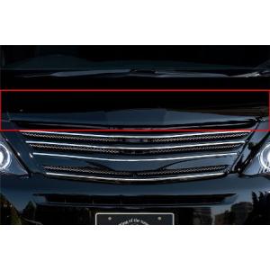 ROWEN ロウェン アルファード GGH ANH ATH20 後期 S/SR フードトップモール ...