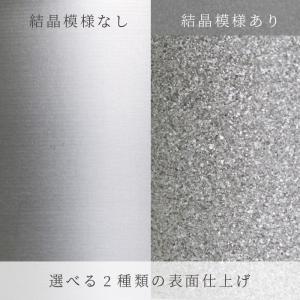 HORIE ホリエ 純チタン二重タンブラー プ...の詳細画像1