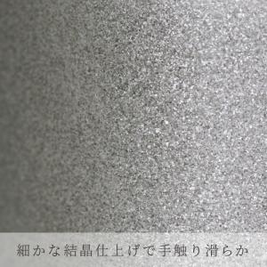 HORIE ホリエ 純チタン二重タンブラー プ...の詳細画像2