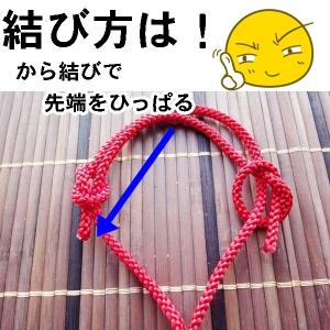 組紐 江戸打ち紐 組ひも『中3mm』紐のみ/木...の詳細画像4