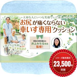 車椅子用 クッション 介護 理学療法士監修 低反発 お尻が痛くならない 立体成型( そらいろ,  40cm x 40cm x 6cm)｜horikku