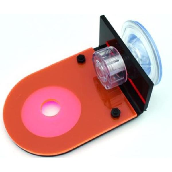 サンゴ用台座 サンゴ台 サンゴホルダー 吸盤式 海水魚 珊瑚 水槽( 赤,  1個)