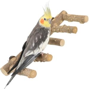 バードトイ 鳥のおもちゃ フォージングトイ インコ用知育玩具 訓練玩具