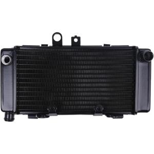 RZ250/350用 ラジエターカバー ステンレス製 【ゼス】 : ミズノ