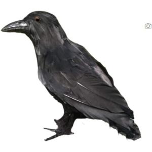 ハロウィンカラス キッチン 日用品 文具 の商品一覧 通販 Yahoo ショッピング