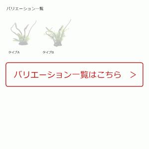 人工水草 柔らかい 熱帯魚 アクアリウム用品 の商品一覧 ペット用品 生き物 通販 Yahoo ショッピング