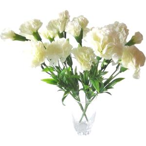 白いカーネーション 花 ガーデニング の商品一覧 通販 Yahoo ショッピング