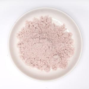 ブラックソルト 食用 パウダー BLACK SALT 塩 500g