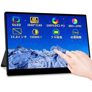 Philips フィリップス 16B1P3300/11 液晶ディスプレイ 15.6型