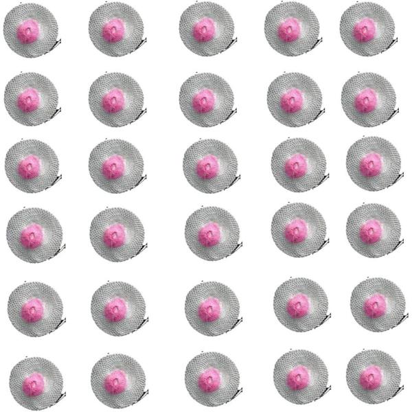 【互換品】30個セット マントル ランタン 汎用 ガスランタン用 交換 キャンプ アウトドア(30個...