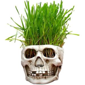 スカル ガーデン ポット ドクロ プランター 植木鉢 インテリア 小物