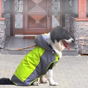 レイングッズ 犬の服 ランキングtop56 人気売れ筋ランキング Yahoo ショッピング
