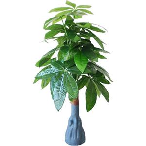 浴室 観葉植物 造花の商品一覧 通販 Yahoo ショッピング