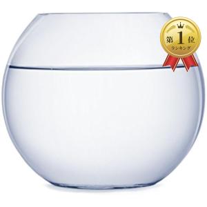 【Yahoo!ランキング1位入賞】ガラス 丸型 水槽 大 テラリウム 観葉植物 インテリア アクアリウム 金魚鉢 にも( ２２ｃｍ)