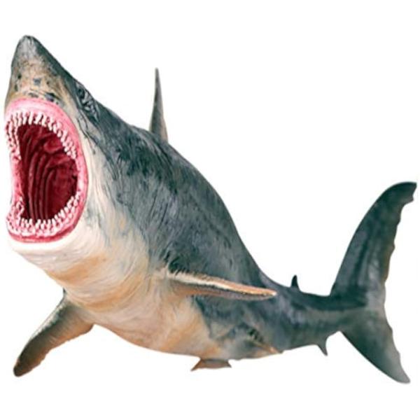 サメ フィギュア メガロドン ホホジロザメ ホオジロザメ さめ プラモデル 海洋生物 こども プレゼ...