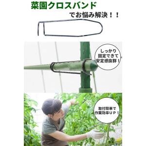 園芸 支柱 固定の商品一覧 通販 Yahoo ショッピング