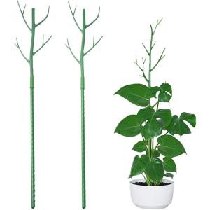 支柱 観葉植物 園芸 2本セット 添え木 支え イボ竹 観葉植物の支柱
