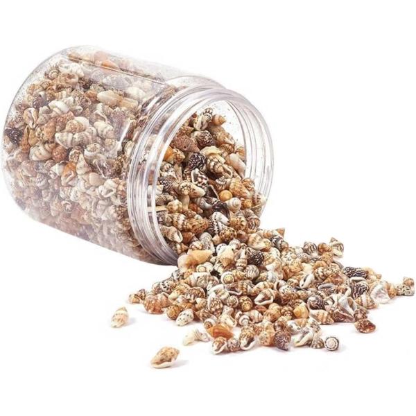 シェルパーツ 貝殻 セット ミックス ランダム マリン デコ素材 ミニ 巻貝 クラフト 工作 DIY