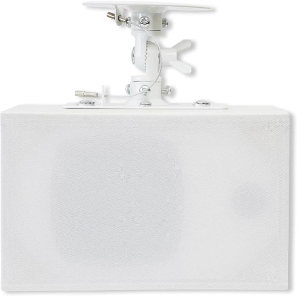 ダイトーボイス 天吊りスピーカー DVT-WD1 シングルスピーカー壁掛け 天井ブラケット付き 小型...