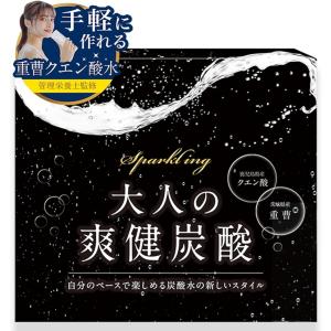 聖者の炭酸 2ヵ月分 重曹 クエン酸 食用 レモン風味 個包装 GMOフリー