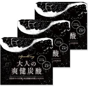 聖者の炭酸 3ヵ月分 重曹 クエン酸 食用 レモン風味 個包装 GMOフリー
