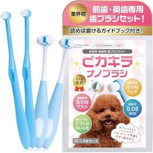 歯ブラシ4本セット オシャレ 日用品 モダン インテリア 洗面 旅行