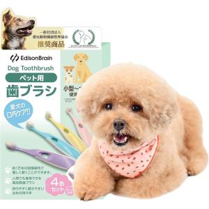 ソノティクス3箱　極細毛ペット用ナノ歯ブラシ口腔ケア2箱8本入　愛犬オーラルケア 獣医師監修 犬用歯ブラシ 犬歯磨き 小型犬 ふさふさナノ ナノ歯ブラシ