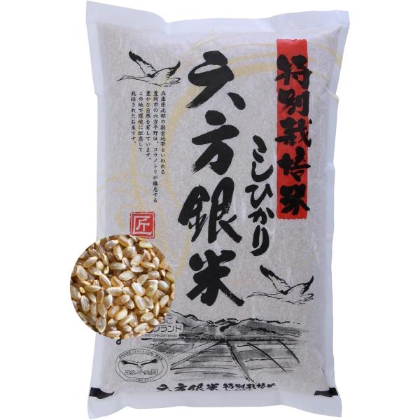 玄米 5kg こしひかり 特別栽培米 コウノトリ舞い降りるお米 循環農法 令和6年産 兵庫県産 特A...