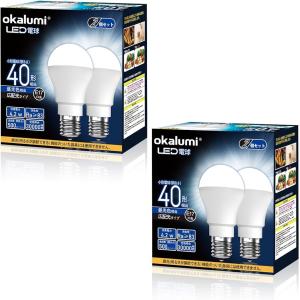 岩崎電気 (送料無料) LDFS62N-G-E39D (旧形式：LDFS79N-G-E39C) LED
