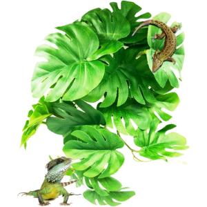 コルク樹皮 大きい 着生 ビカクシダ 蘭 エアプランツ 爬虫類 観葉植物