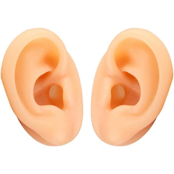 シリコン 耳 模型 両耳 左右セット 耳モデル 人工 ダミー 耳鍼 縫合 練習 みみ 絵画 美術