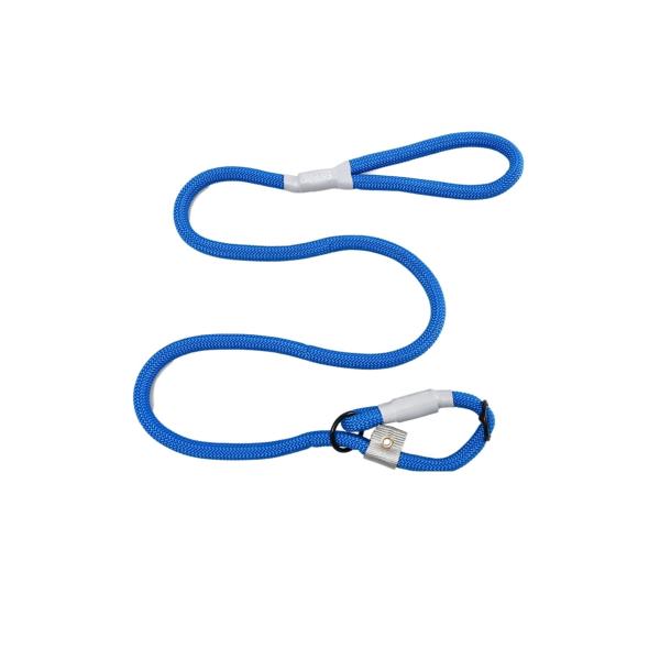 スリップリード シーザーミラン Cesar シーザーミラン氏 監修 (ブルー,  レギュラー「小・中...