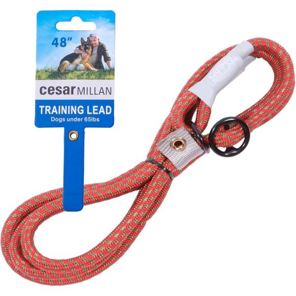 スリップリード シーザーミラン Cesar シーザーミラン氏 監修(レッドオリーブ,  レギュラー「...