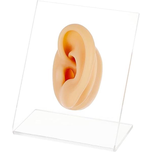 1個 シリコン模型 耳模型 耳モデル シリコンモデル リアル耳模型 ダミー 耳鍼練習 絵画 ウィンド...